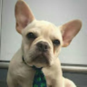 Meet your Posher, Thomas